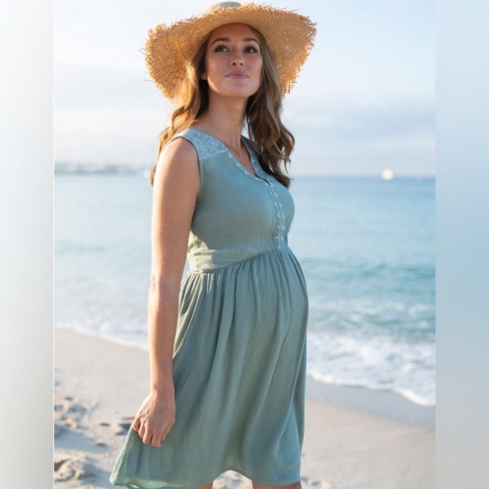 Seraphine maternity embroidered dress